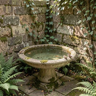 a bird bath in a quiet corner