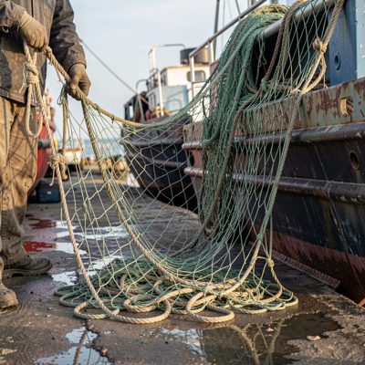 a net being hauled over the side