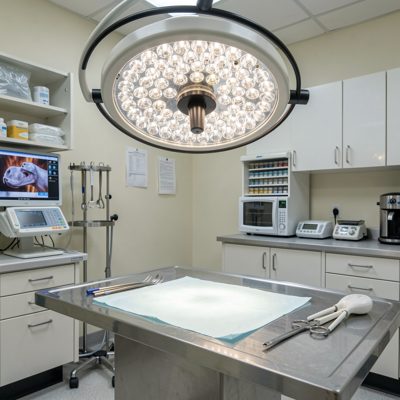a veterinary surgery light above a table